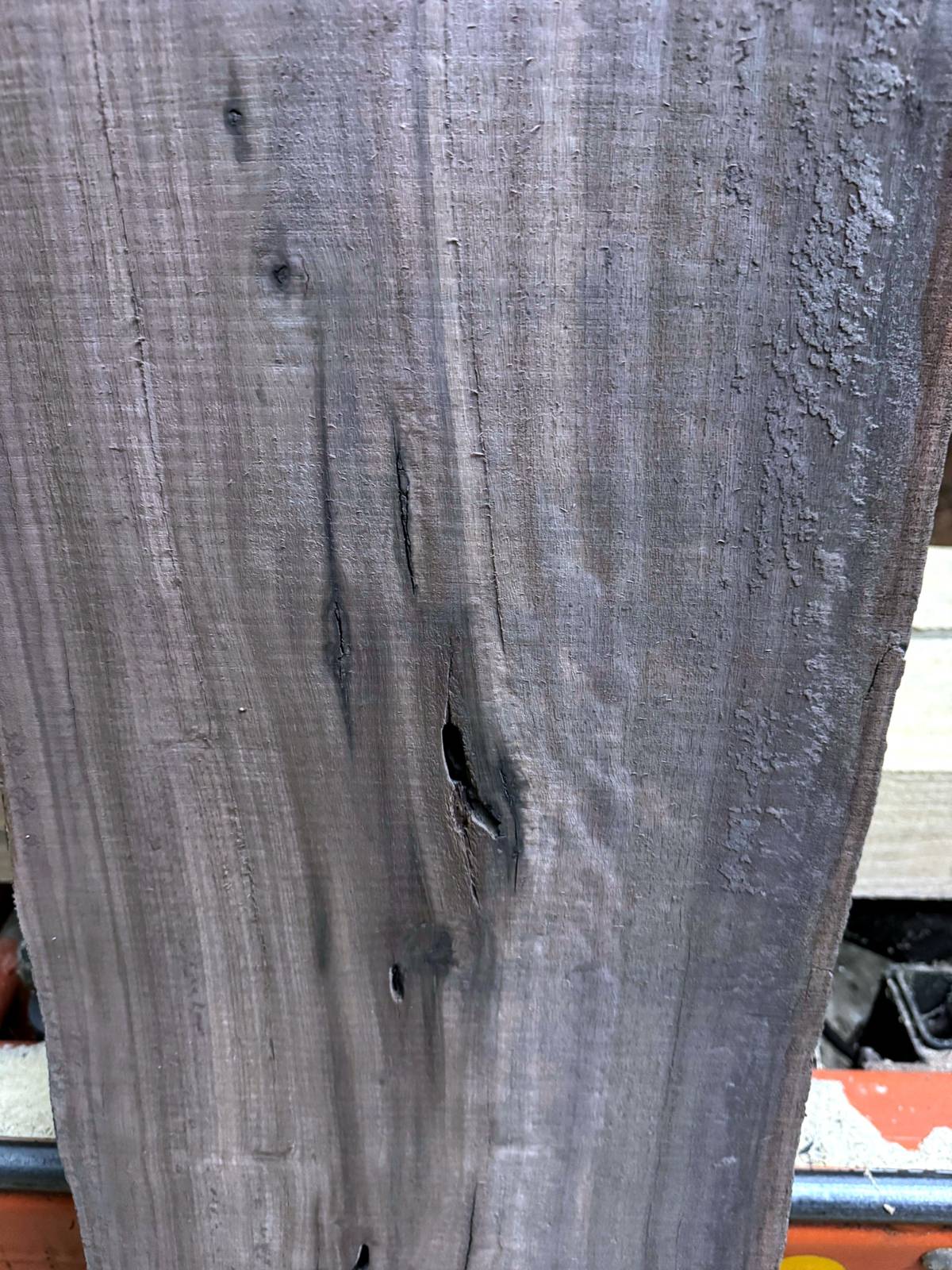 Close-up of black walnut grain