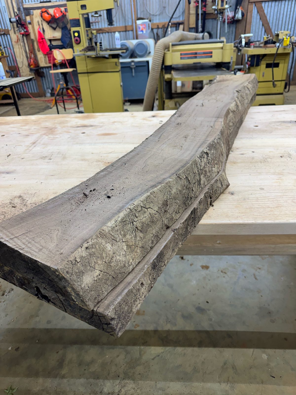 Black walnut bookmatch pair, lot BW002, photo 6
