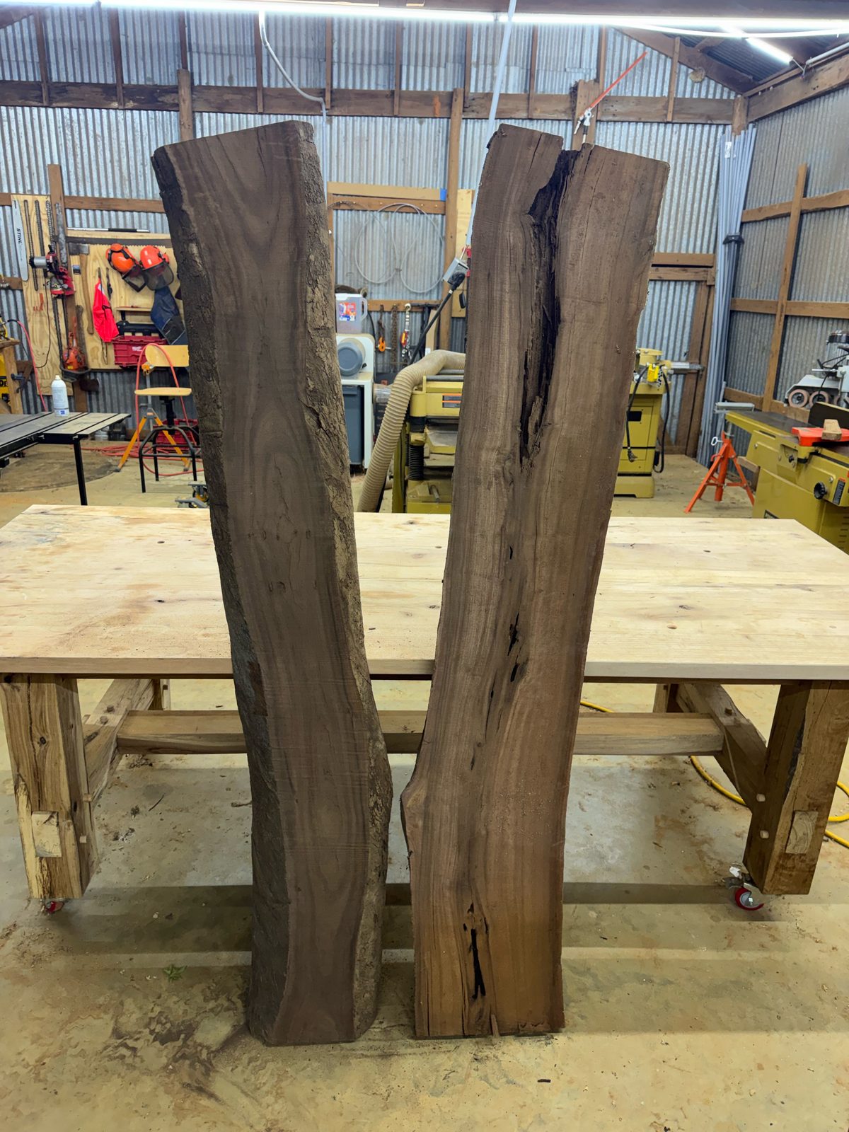 Black walnut bookmatch pair, lot BW002, photo 2
