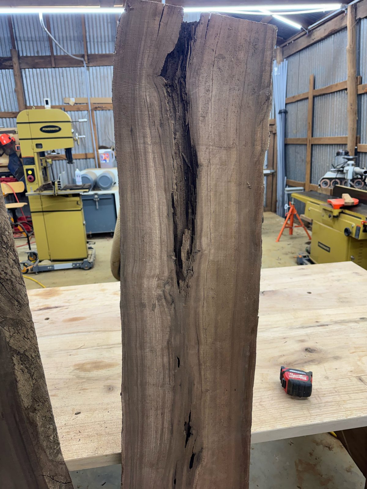 Black walnut bookmatch pair, lot BW002, photo 4