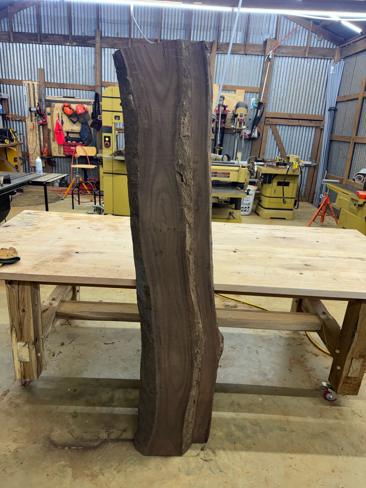 Black walnut bookmatch pair, lot BW002, photo 5